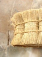 Bristle Fibre